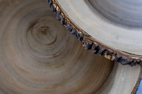 Wood Bark Chargers, Set of 4 - Image 3