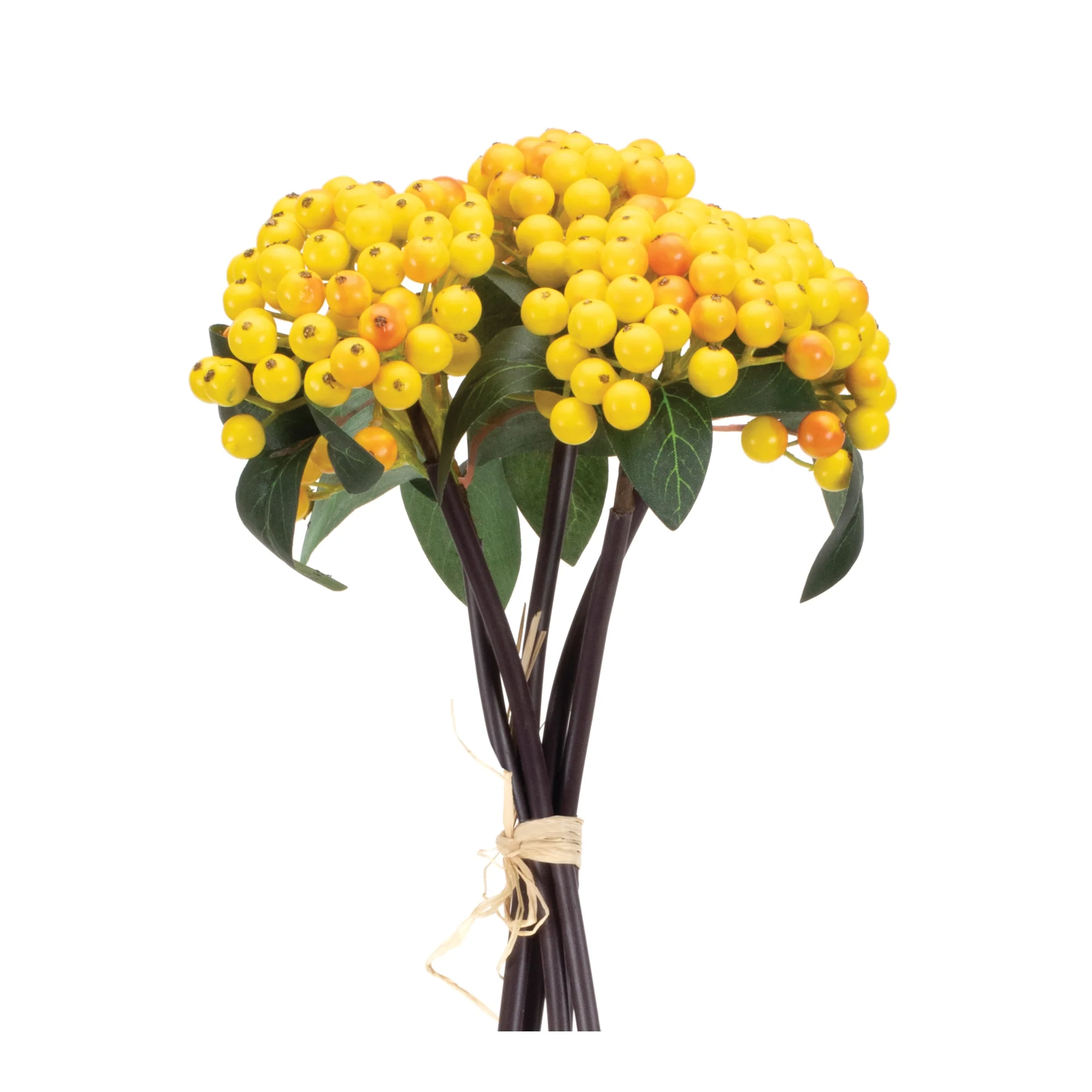 Yellow Berry Bundle, Set of 2